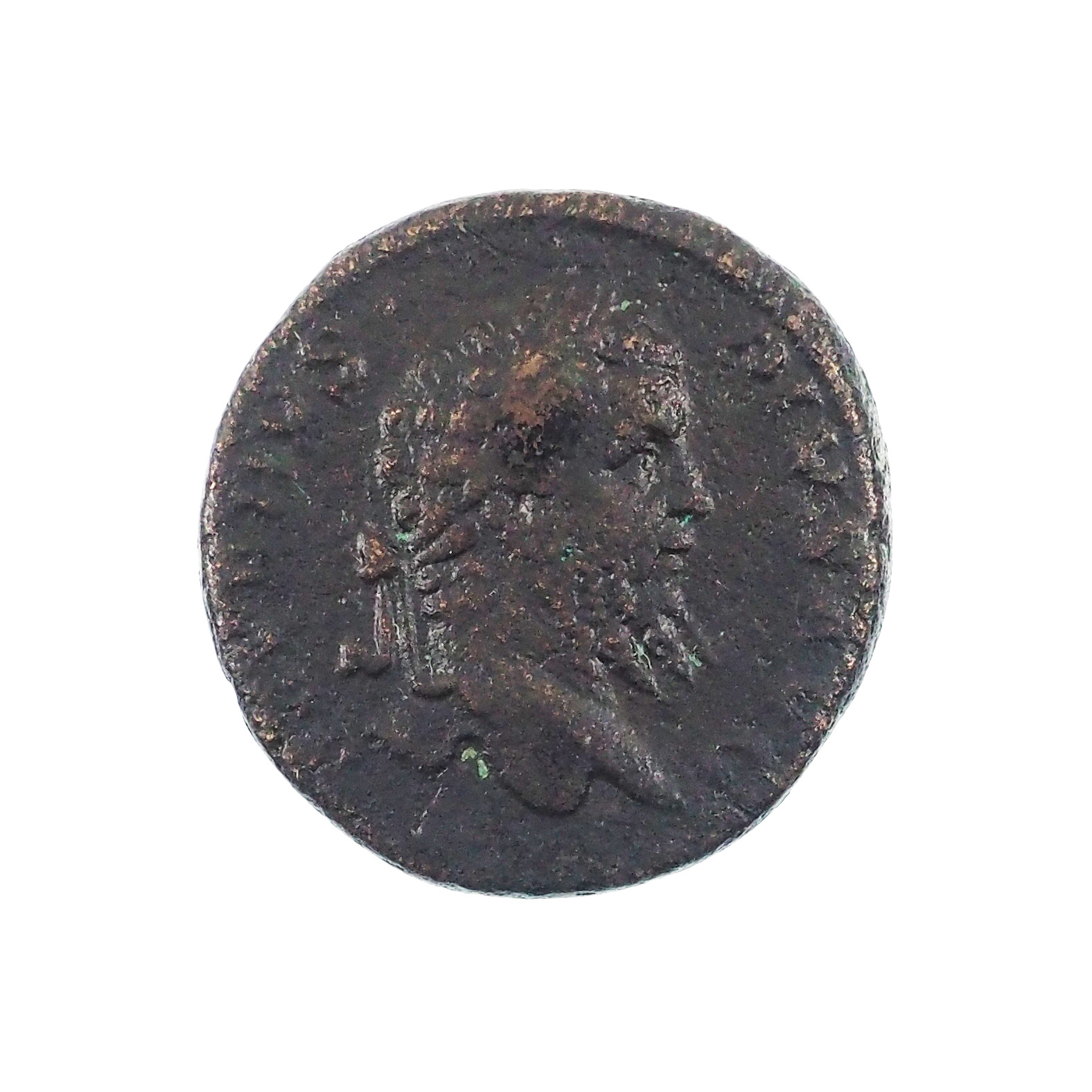 Septime Sévère (193-211), As, Roma, Cuivre, TB+, RIC 804